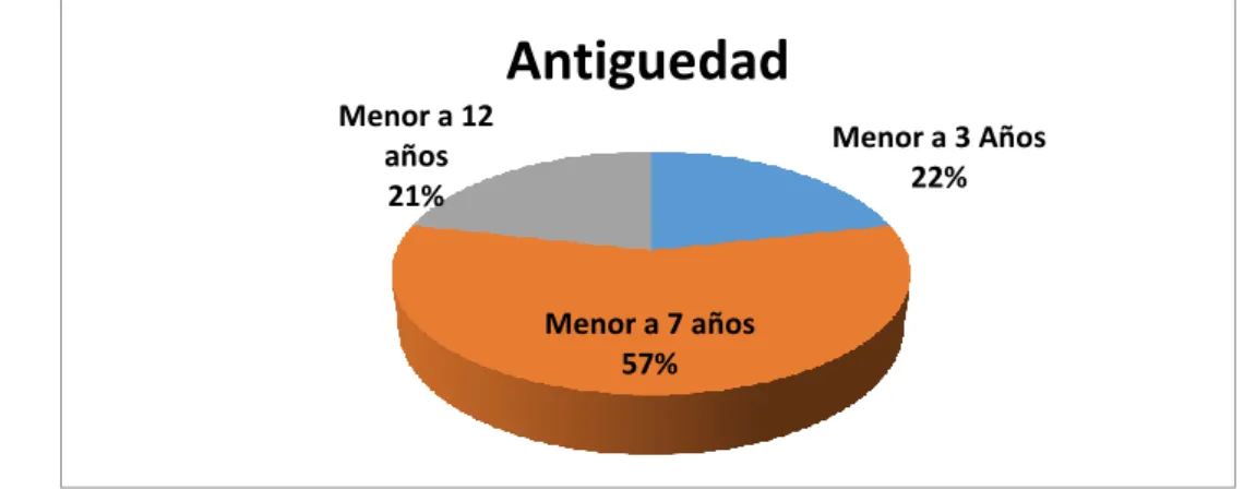 Figura 10 .  Antigüedad.