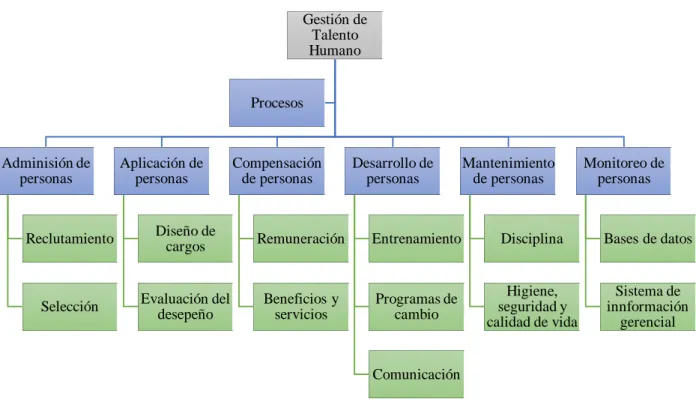 Figura 1. Procesos Básicos de la gestión de talento humano 