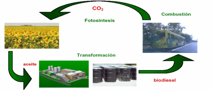 Figura 1.1 Esquema simple del Ciclo de CO2 para el biodiesel [2] 