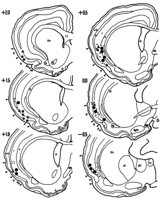 Fig.  2.  The  insular  cortex  (IC)  is  a  sensory  cortex.  Schematic  drawings  of  coronal  sections  from the rat brain, showing the sites where interoceptive responses were recorded