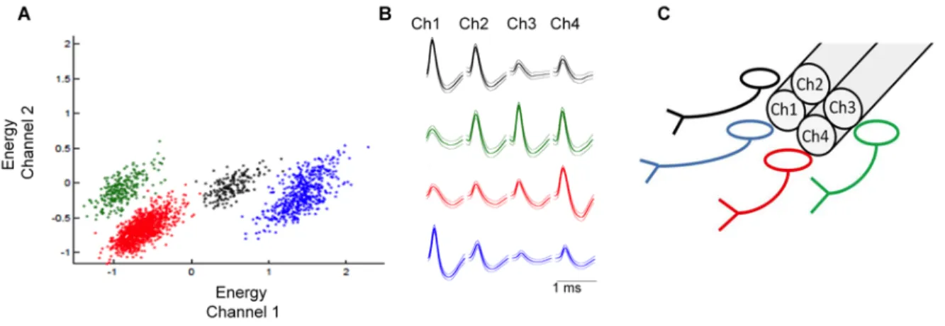Fig. 6. Representative identification of four neurons recorded with one tetrode. A. Dispersion  plot  showing  energy  of  waveforms  in  channel  1  vs  channel  2  of  one  tetrode