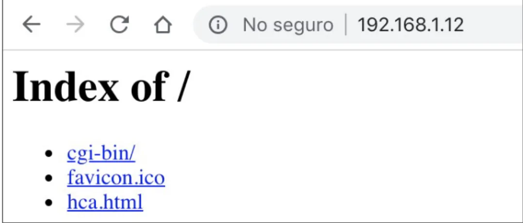Figura 8. Página inicial al ingresar al servidor con un navegador 