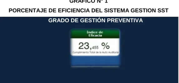 GRÁFICO N° 1 