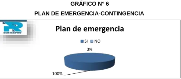 GRÁFICO N° 6  