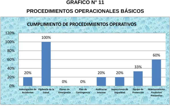 GRÁFICO N° 11 