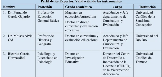CUADRO Nº  12 PERFIL DE LOS EXPERTOS: VALIDACIÓN DE LOS INSTRUMENTOS 