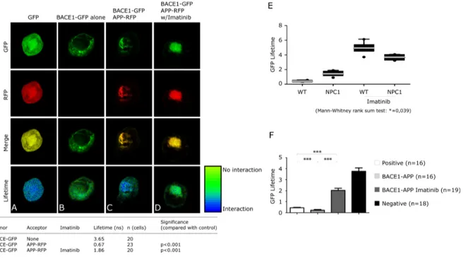 Figure  5.  c-Abl  inhibition  impairs  APP-BACE1  interaction  in  a  cellular  NPC model
