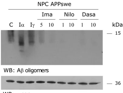 Figure  1.  c-Abl  inhibitors  decreases  β-secretase  cleaved  APP  in  a  cellular  NPC  model