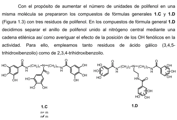 Figura 1.2. Fórmula general 1.B 