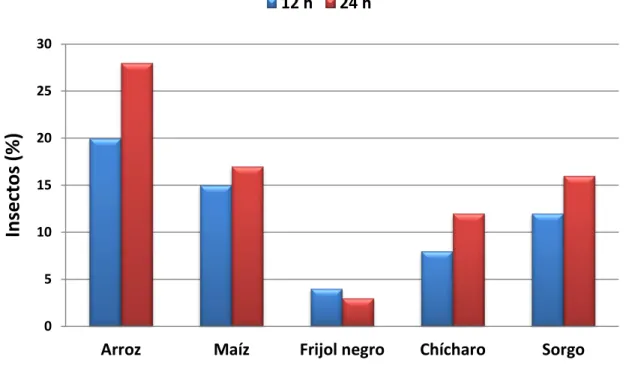 Figura 1. Preferencia de S. oryzae en grupo por diferentes granos 