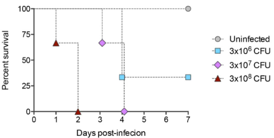 Figure  4:  Survival  curves  of  mice  intranasally  infected  with  different  doses  of  S
