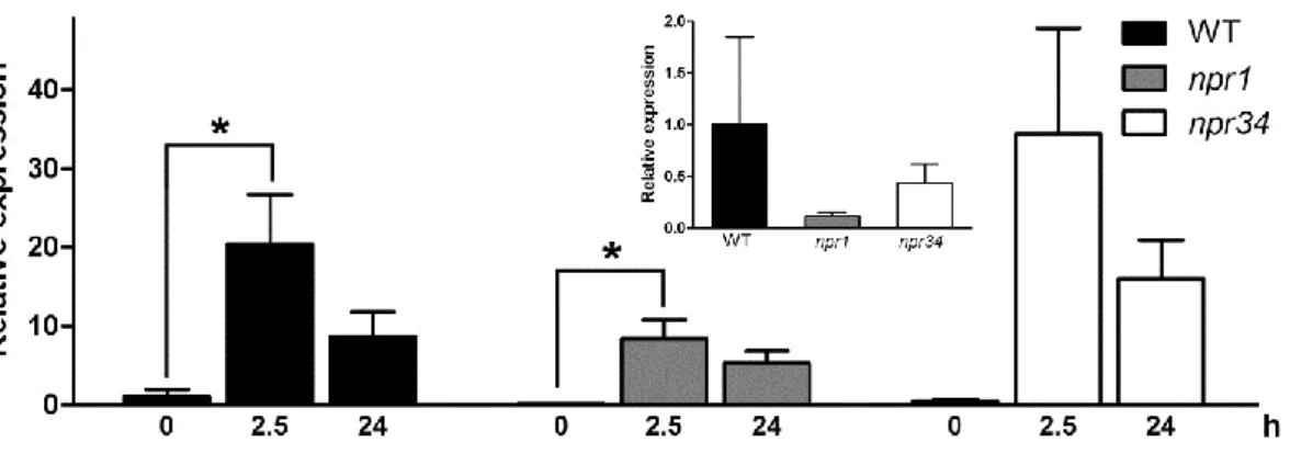 FIGURE  5.  GRXC9  expression  levels  upon  SA  treatment  in  wild  type,  npr1-1,  and  npr3-1/npr4-3 backgrounds