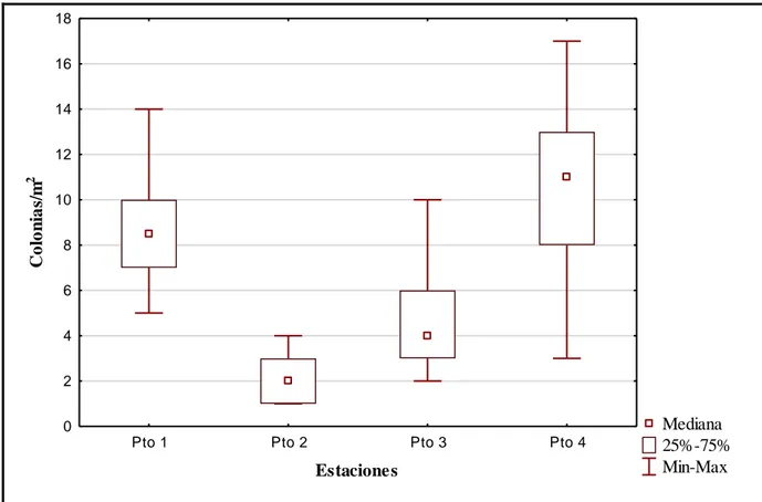 Figura 7. Valores de densidad obtenidos para el ensamblaje de octocorales en cada estación estudiada