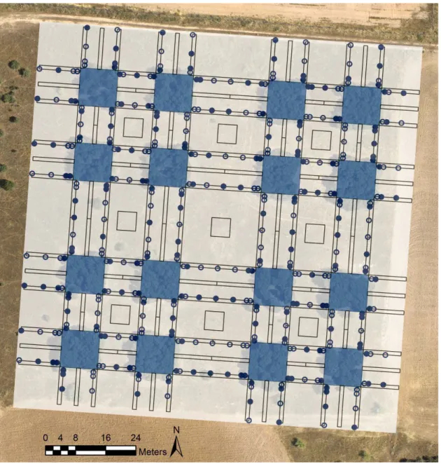 Fig. 1S. Design of the seeding experiment and sampling for assessment of early natural  establishment of oak seedlings