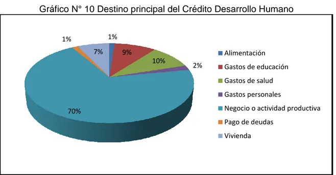 Gráfico N° 11 Sector Económico en el que realizó la inversión del CDH 