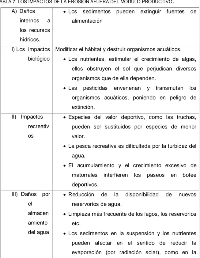 TABLA 7: LOS IMPACTOS DE LA EROSION AFUERA DEL MODULO PRODUCTIVO .     A)  Daños 