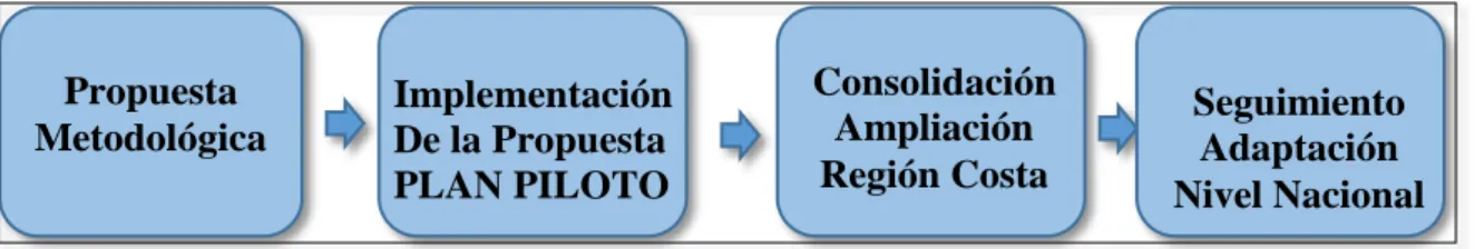 Figura 2. Alcance de la implementación del programa. Elaborado por: la autora. 