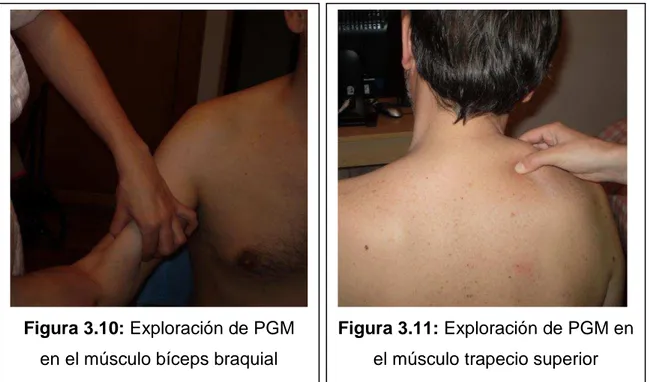 Figura 3.10: Exploración de PGM  en el músculo bíceps braquial 