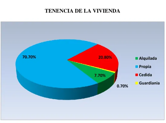 GRÁFICO N° 2 