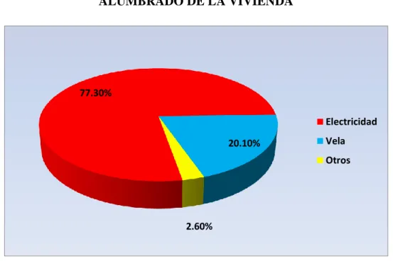 GRÁFICO N° 6 