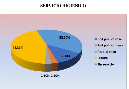 GRÁFICO N° 8  SERVICIO HIGIENICO 