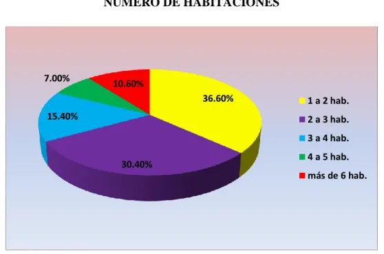 GRÁFICO N° 9 