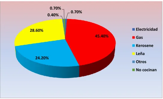 GRÁFICO N° 11 
