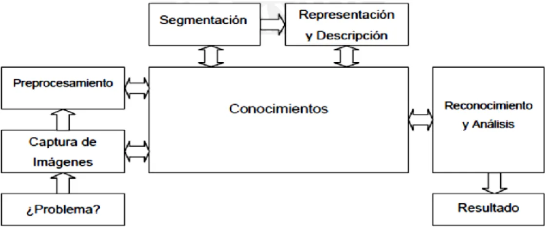 Fig. 1. Etapas para el Procesamiento Digital de Imágenes [7]. 