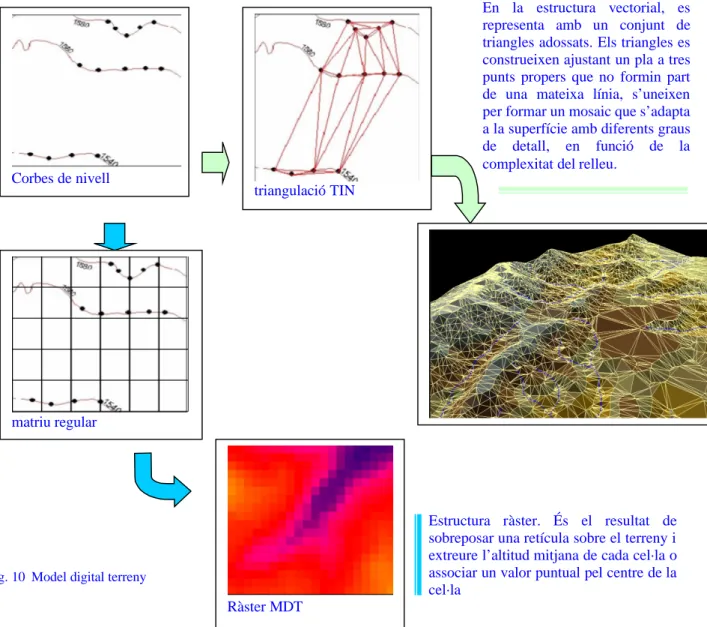 Fig. 10  Model digital terrenyCorbes de nivell