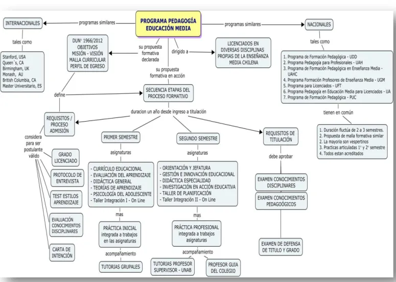 Ilustración 1 - PROGRAMA PEDAGOGÍA EDUCACIÓN MEDIA (Elaboración propia) 