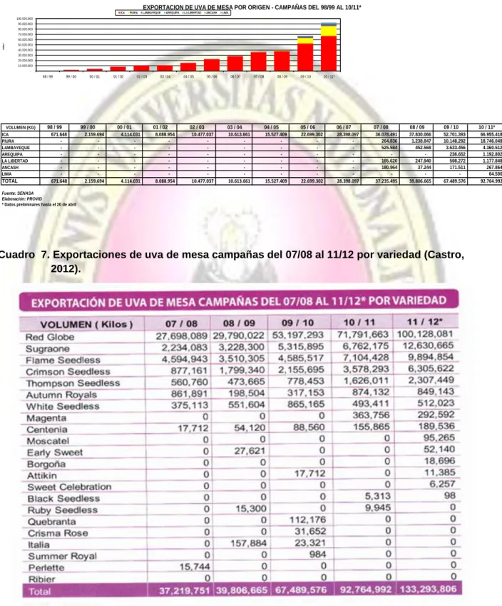 Cuadro Nº 6. Exportaciones de uva de mesa  por origen – campaña 98/99 al 10/11 (PROVID,  2011)