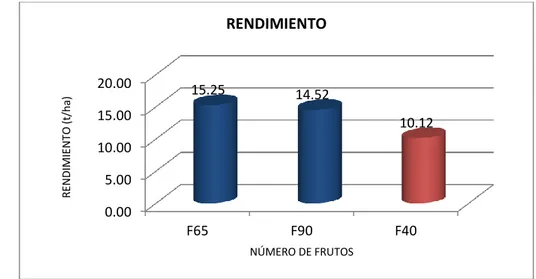Gráfico Nº 6: Efecto principal  Frutos en el rendimiento de  frutos de palto Hass. Majes  2012