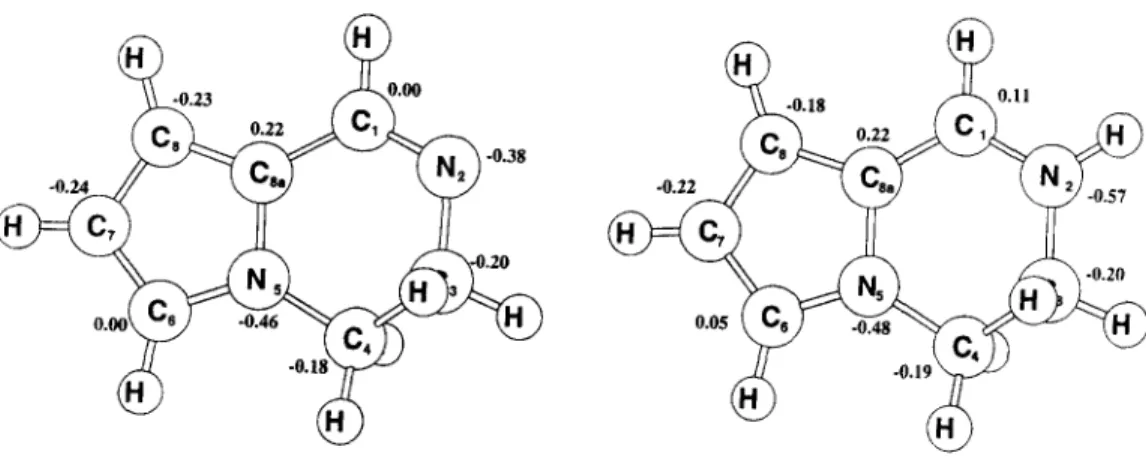 Figure  1.  Optimized geometries and  atomic charges for 3,4-dihydropyrrol[l,2-a]pyrazine (1)  (left)  and  the N-  protonated form la  (right) obtained at the HF/6-31G**  level