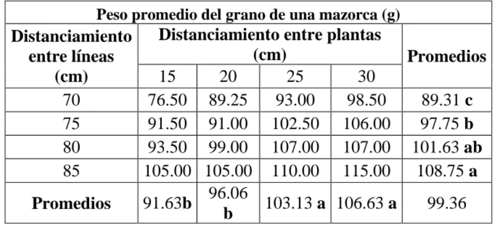 Cuadro  N°  22.  Peso  promedio  del  grano  de  una  mazorca  (g)  a  los  140  d.d.s