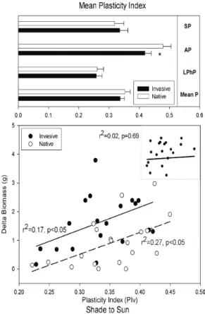 Figure  4:  within  light  gradient,  upper  part:  Mean phenotypic plasticity of invasive and alien species for the mean  canopy  structure  plasticity  (CSP),  allometry plasticity  (AP),  Leaf  physiology  plasticity  (LPhP)  and mean plasticity of the 