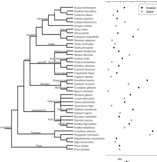 Figure 5: Phylogenetic tree of the plasticity efficiency across invasive and native species