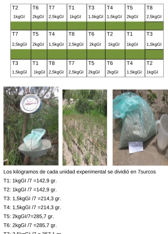 Cuadro 4: Dosis para abonamiento con guano de isla  
