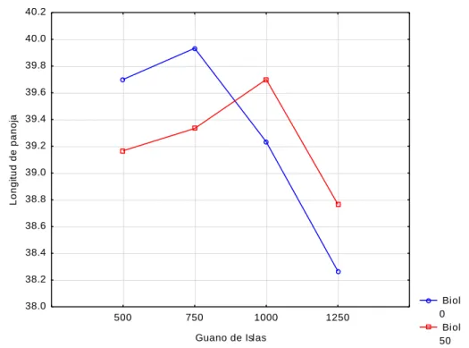 Cuadro 8: Efecto del biol y guano de isla en la longitud de panoja 