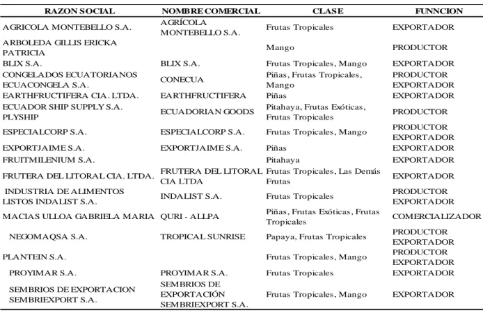 Figura 3: Pymes exportadoras de frutas