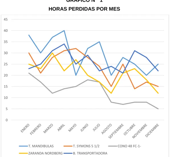 GRÁFICO Nº  1 