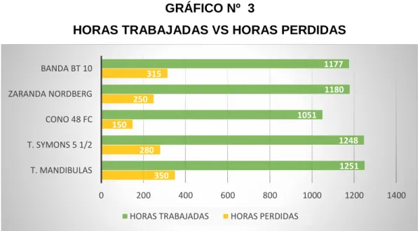 GRÁFICO Nº  3 