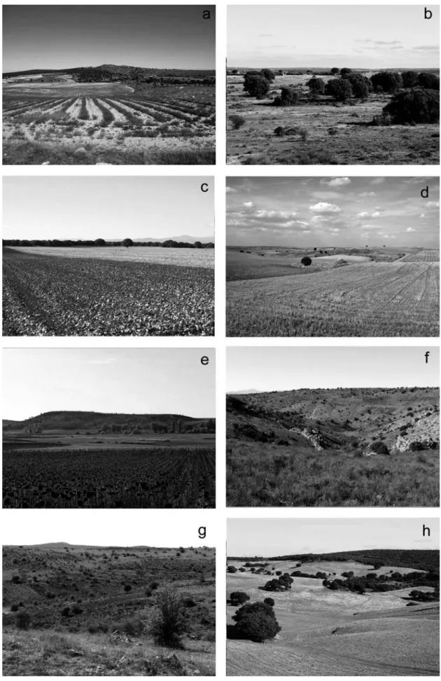 Fig. 7.-  Visual sceneries of the High plains (a to e), and Tributaries (f to h)  of the Valleys and gorges landscape systems