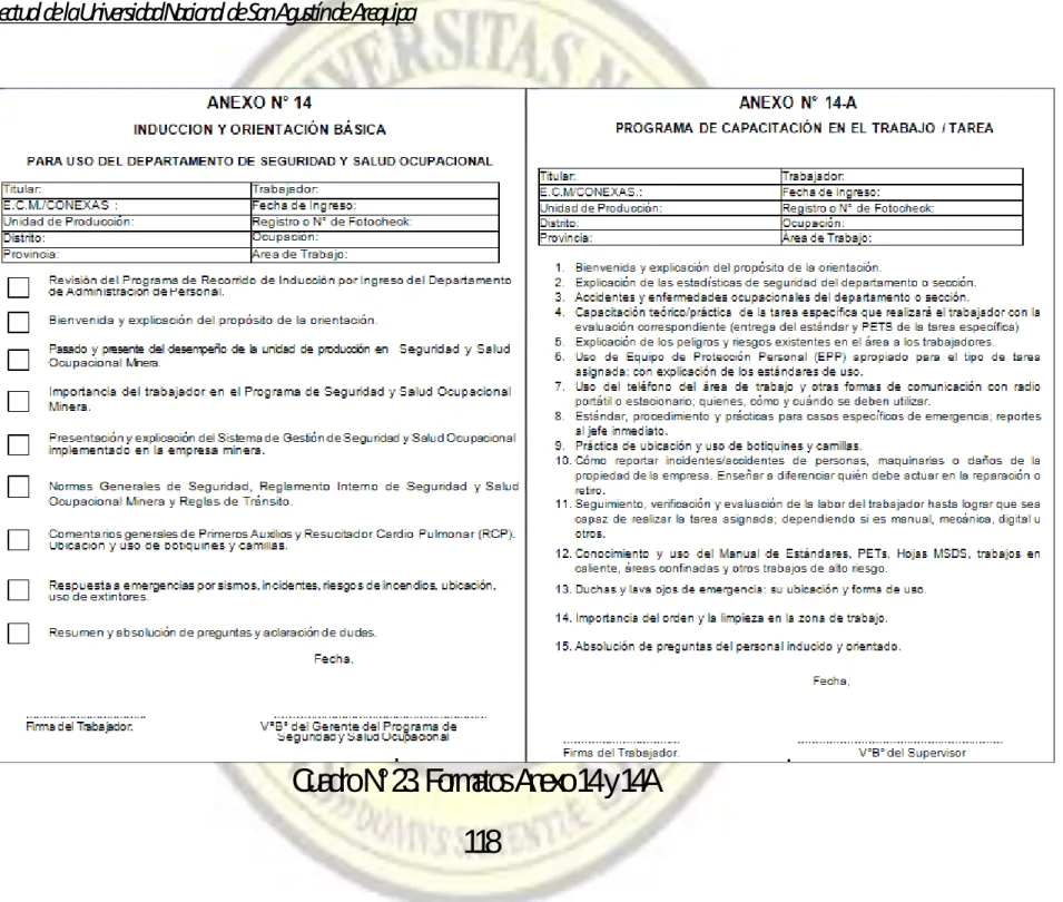 Cuadro N° 23. Formatos Anexo 14 y 14A