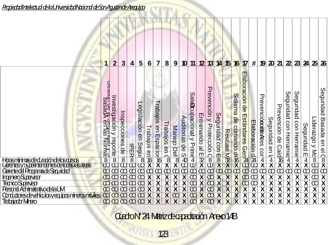 Cuadro N° 24. Matriz de capacitación. Anexo 14B 