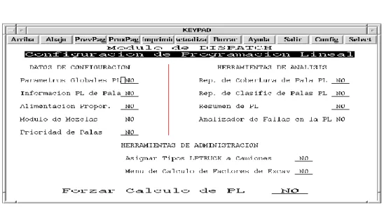 Figura 08: Configuración de programa lineal. 