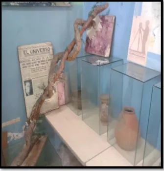 Ilustración 3: Serpiente disecada en exposición del museo 
