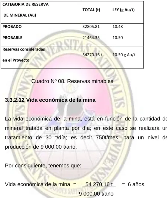 Cuadro Nº 08. Reservas minables 