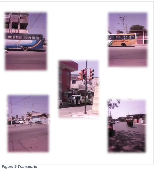 Figure 9 Transporte 
