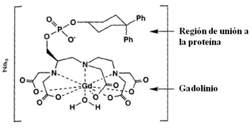 Figura 4. Estructura del agente de contraste gadofosveset. Adaptado de Lauffer, R.B., et al